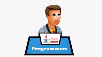java programmer india