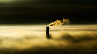 flammable gases in industry