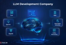 LLM Development