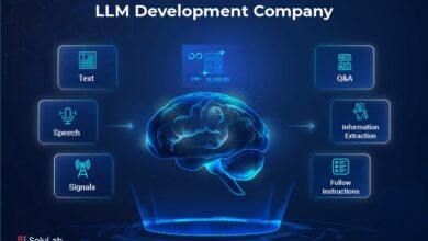 LLM Development