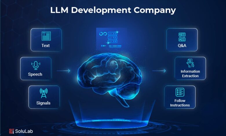 LLM Development