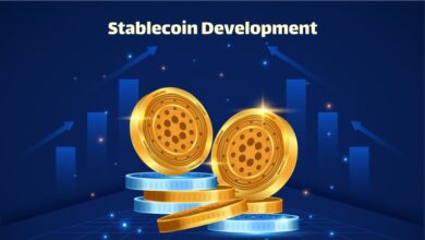 Stablecoin Development