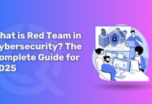 What is Red Team in Cybersecurity