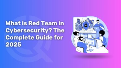What is Red Team in Cybersecurity