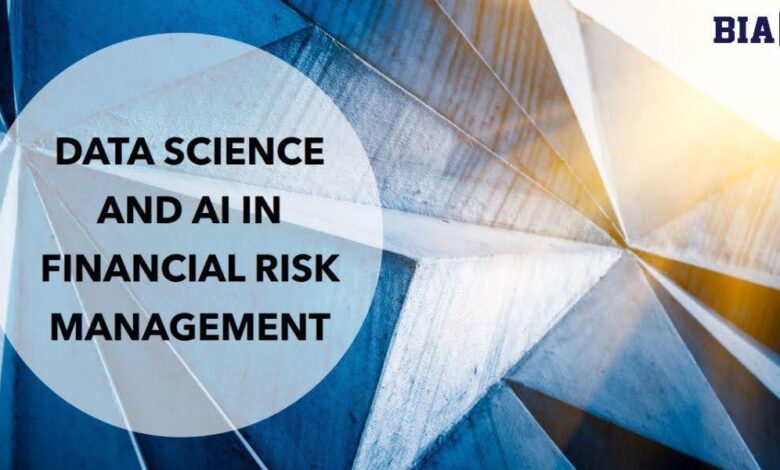Financial Innovation and Risk Management