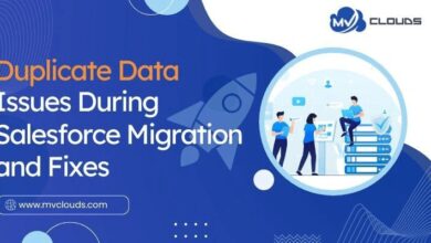 Duplicate Data Issues During Salesforce Migration and Fixes